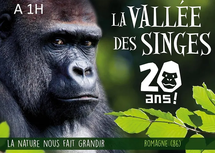 Parenthese Proche Du Futuroscope